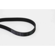 NEUTRO.jpg Cinghia Poly-V 6PK1605 CONTINENTAL CTAM per RENAULT PEUGEOT CITROÃ N BMW OPEL