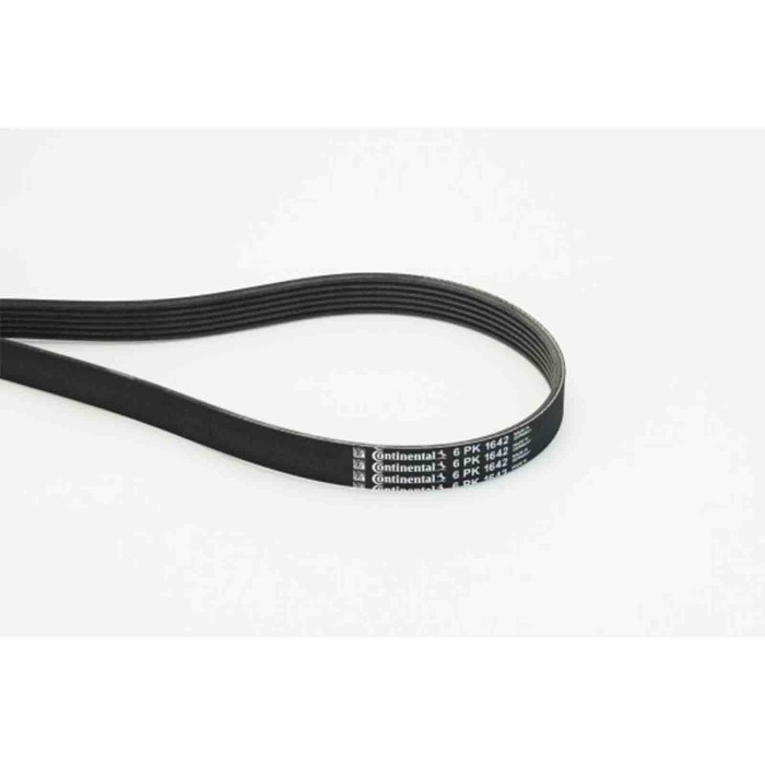 NEUTRO.jpg Cinghia Poly-V 6PK1642 CONTINENTAL CTAM per RENAULT PEUGEOT CITROEN BMW VW FORD