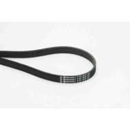Cinghia Poly-V 6PK1642 CONTINENTAL CTAM per RENAULT PEUGEOT CITROÃ N BMW VW FORD