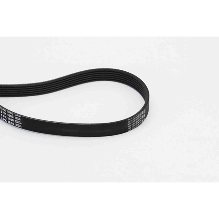 NEUTRO.jpg Cinghia Poly-V 6PK1660 CONTINENTAL CTAM per RENAULT PEUGEOT CITROEN BMW AUDI VW