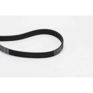 Cinghia Poly-V 6PK1660 CONTINENTAL CTAM per RENAULT PEUGEOT CITROEN BMW AUDI VW