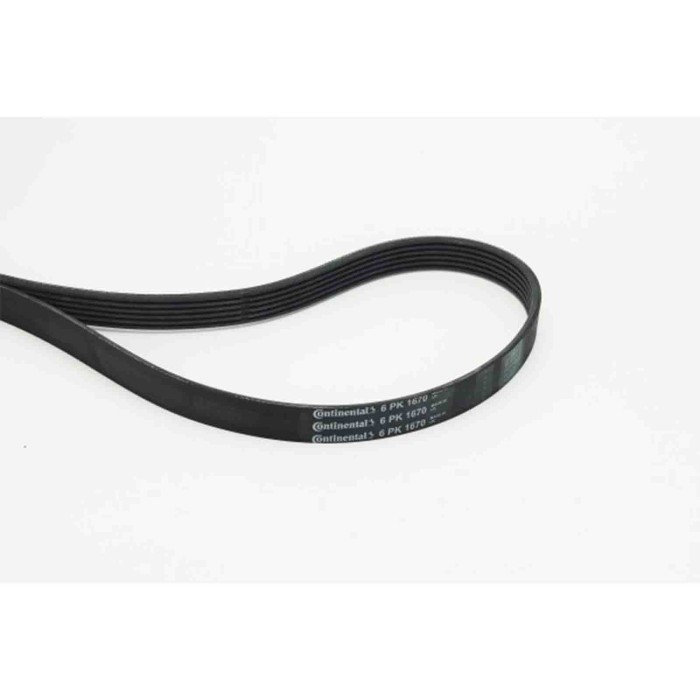 NEUTRO.jpg Cinghia Poly-V 6PK1670 CONTINENTAL CTAM per PEUGEOT CITROEN FORD TOYOTA OPEL