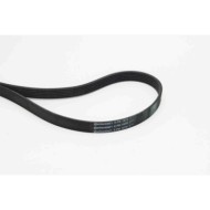 Cinghia Poly-V 6PK1670 CONTINENTAL CTAM per PEUGEOT CITROÃ N FORD TOYOTA OPEL
