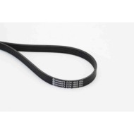 Cinghia Poly-V 6PK1698 CONTINENTAL CTAM per PEUGEOT CITROÃ N BMW AUDI VW TOYOTA