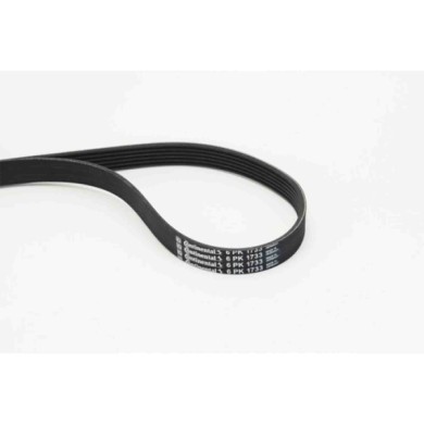 NEUTRO.jpg Cinghia Poly-V 6PK1733 CONTINENTAL CTAM per RENAULT PEUGEOT CITROÃ N BMW AUDI VW