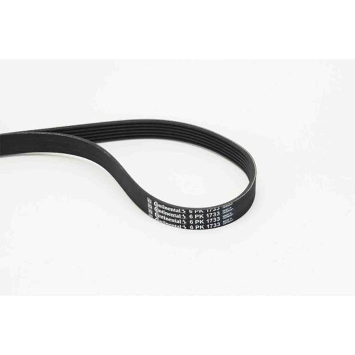 NEUTRO.jpg Cinghia Poly-V 6PK1733 CONTINENTAL CTAM per RENAULT PEUGEOT CITROEN BMW AUDI VW