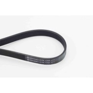 Cinghia Poly-V 6PK1780 CONTINENTAL CTAM per RENAULT BMW FORD FIAT HYUNDAI KIA