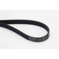NEUTRO.jpg Cinghia Poly-V 6PK1840 CONTINENTAL CTAM per TOYOTA MAZDA