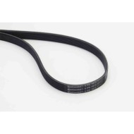 Cinghia Poly-V 6PK1873 CONTINENTAL CTAM per AUDI VW MERCEDES-BENZ OPEL CHEVROLET