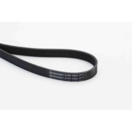 Cinghia Poly-V 6PK1893 CONTINENTAL CTAM per BMW FORD TOYOTA OPEL CHEVROLET SAAB