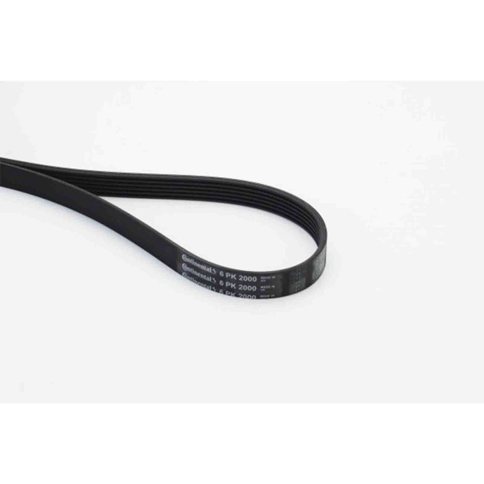 NEUTRO.jpg Cinghia Poly-V 6PK2000 CONTINENTAL CTAM per VW MERCEDES-BENZ FORD JEEP HYUNDAI
