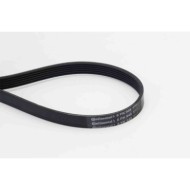 Cinghia Poly-V 6PK948 CONTINENTAL CTAM per PEUGEOT CITROEN AUDI VW FORD FIAT