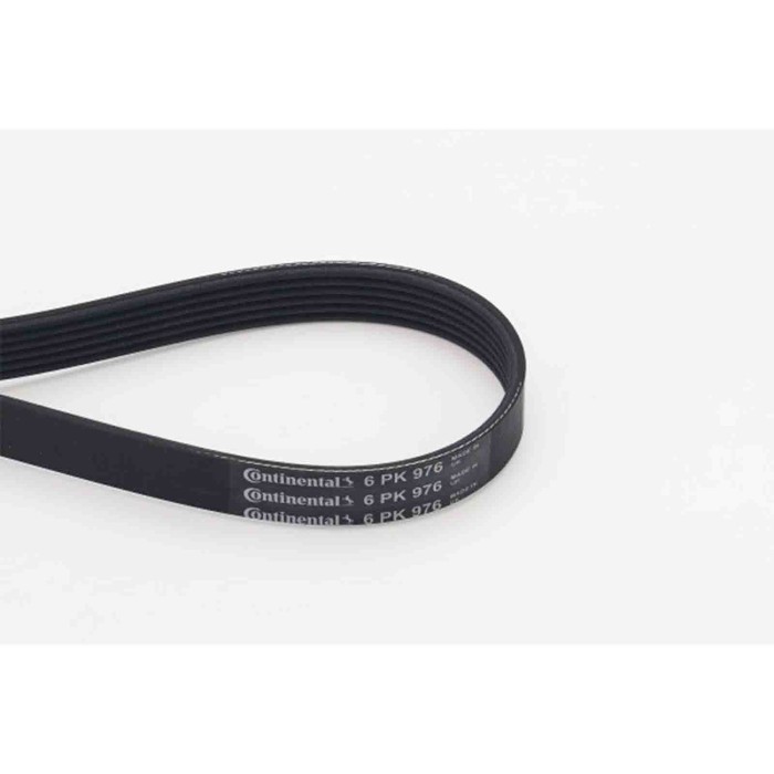 NEUTRO.jpg Cinghia Poly-V 6PK976 CONTINENTAL CTAM per PEUGEOT CITROÃ N VW FORD SEAT SUZUKI