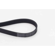 Cinghia Poly-V 6PK976 CONTINENTAL CTAM per PEUGEOT CITROÃ N VW FORD SEAT SUZUKI