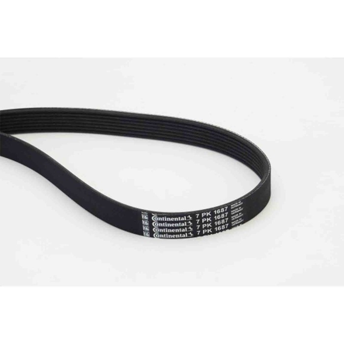 NEUTRO.jpg Cinghia Poly-V 7PK1687 CONTINENTAL CTAM per RENAULT MERCEDES-BENZ OPEL NISSAN