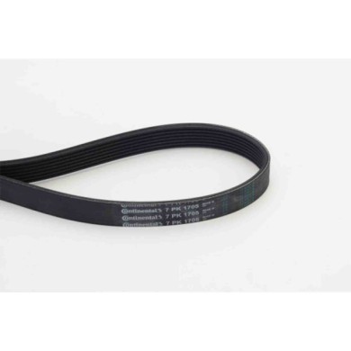 NEUTRO.jpg Cinghia Poly-V 7PK1705 CONTINENTAL CTAM per RENAULT PEUGEOT MERCEDES-BENZ NISSAN