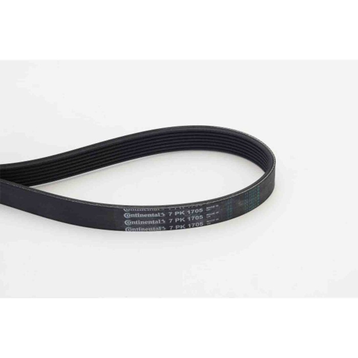 NEUTRO.jpg Cinghia Poly-V 7PK1705 CONTINENTAL CTAM per RENAULT PEUGEOT MERCEDES-BENZ NISSAN