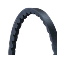 Cinghia trapezoidale AVX10X1215 CONTINENTAL CTAM per FORD VOLVO CHRYSLER DODGE