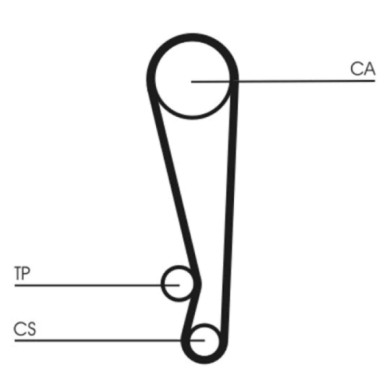 CT1024_3.JPG Cinghia dentata CT1024 CONTINENTAL CTAM per KIA MAZDA