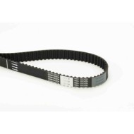 Cinghia dentata CT1101 CONTINENTAL CTAM per PEUGEOT CITROEN