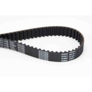 Cinghia dentata CT1138 CONTINENTAL CTAM per PEUGEOT CITROEN FIAT LANCIA