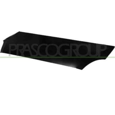 FT9273100_1.JPG Cofano Per Iveco Daily Dal 2006 Al 2009