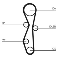 CT1142_3.JPG Cinghia dentata CT1142 CONTINENTAL CTAM per PEUGEOT CITROEN FORD FIAT MITSUBISHI