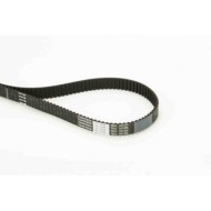 Cinghia dentata CT1149 CONTINENTAL CTAM per ALFA ROMEO