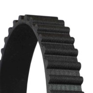 CT534_3.JPG Cinghia dentata CT534 CONTINENTAL CTAM per VW SEAT