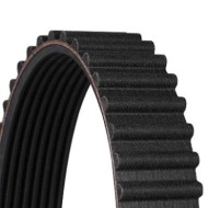 CT547_3.JPG Cinghia dentata CT547 CONTINENTAL CTAM per VW SEAT