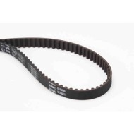 Cinghia dentata CT605 CONTINENTAL CTAM per PEUGEOT CITROEN FIAT LANCIA INNOCENTI