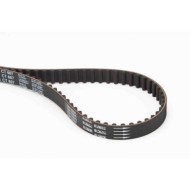 Cinghia dentata CT607 CONTINENTAL CTAM per PEUGEOT CITROEN