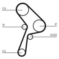 Cinghia dentata CT609 CONTINENTAL CTAM per FIAT