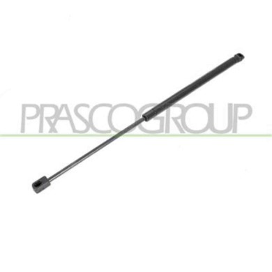 PG3209055_1.JPG Molla A Gas Destra O Sinistra Portellone Posteriore Per Peugeot 207 Dal 2006 Al 2009