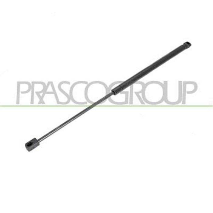 PG3209055_1.JPG Molla A Gas Destra O Sinistra Portellone Posteriore Per Peugeot 207 Dal 2006 Al 2009