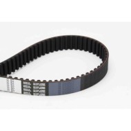 Cinghia dentata CT877 CONTINENTAL CTAM per FIAT ALFA ROMEO LANCIA