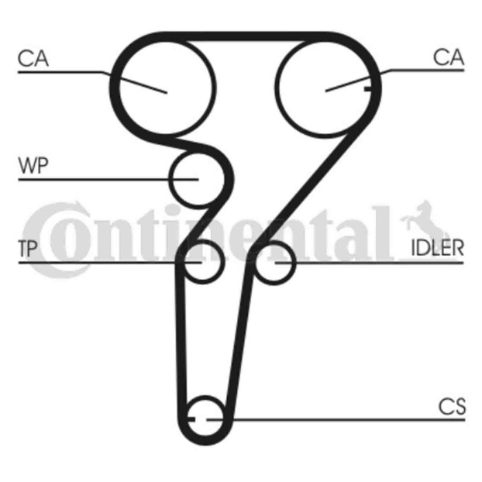 CT877_3.JPG Cinghia dentata CT877 CONTINENTAL CTAM per FIAT ALFA ROMEO LANCIA