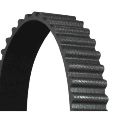 CT895_3.JPG Cinghia dentata CT895 CONTINENTAL CTAM per SUZUKI SUBARU