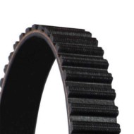 CT953_3.JPG Cinghia dentata CT953 CONTINENTAL CTAM per LAND ROVER