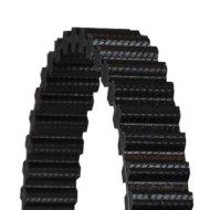 CT970_3.JPG Cinghia dentata CT970 CONTINENTAL CTAM per FIAT ALFA ROMEO LANCIA