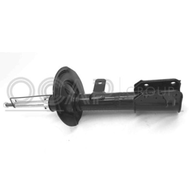 NEUTRO.jpg Ammortizzatore 82104FR OCAP per FIAT