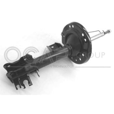 NEUTRO.jpg Ammortizzatore 82118FR OCAP per FIAT