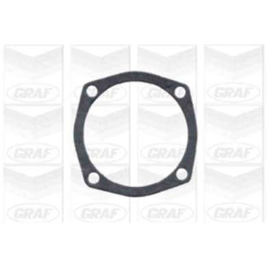 PA101_2.JPG Pompa dell'acqua, raffreddamento motore PA101 GRAF per ALFA ROMEO