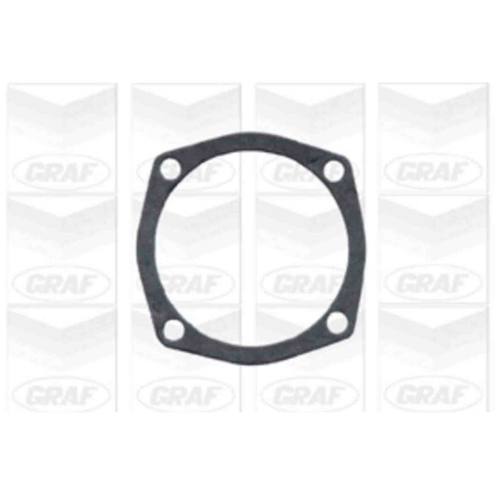 PA101_2.JPG Pompa dell'acqua, raffreddamento motore PA101 GRAF per ALFA ROMEO