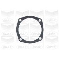 PA101_2.JPG Pompa dell'acqua, raffreddamento motore PA101 GRAF per ALFA ROMEO