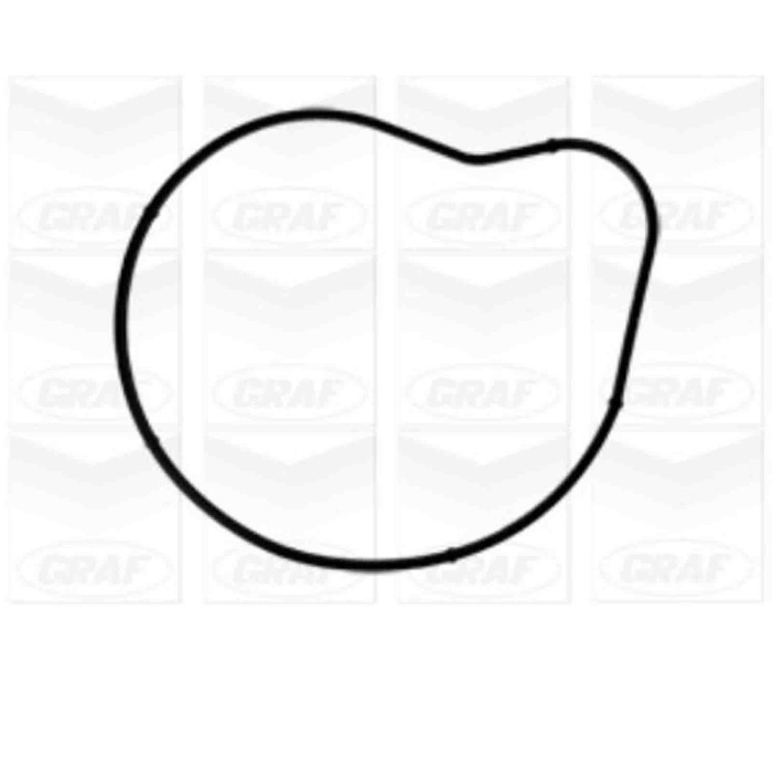 PA1040_2.JPG Pompa dell'acqua, raffreddamento motore PA1040 GRAF per BMW