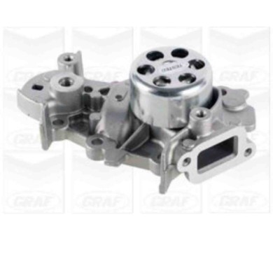 NEUTRO.jpg Pompa dell'acqua, raffreddamento motore PA1075 GRAF per RENAULT