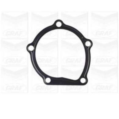 PA1128_2.JPG Pompa dell'acqua, raffreddamento motore PA1128 GRAF per CHEVROLET