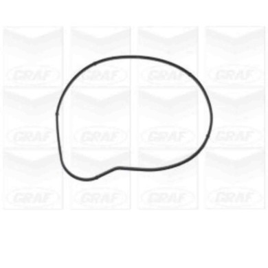 PA1129_2.JPG Pompa dell'acqua, raffreddamento motore PA1129 GRAF per BMW ROLLS-ROYCE