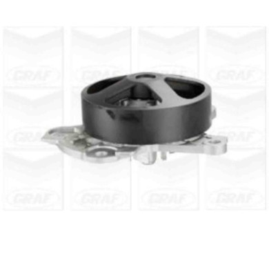 NEUTRO.jpg Pompa dell'acqua, raffreddamento motore PA1134 GRAF per TOYOTA LOTUS